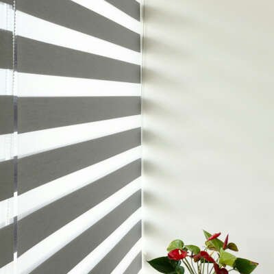 Modern grey and white Zebra blinds (day and night blinds) on a window next to a red Anthurium plant.