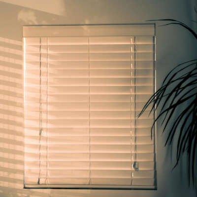 White horizontal window blinds with warm sunset light casting long linear shadows on the wall next to a silhouetted houseplant.
