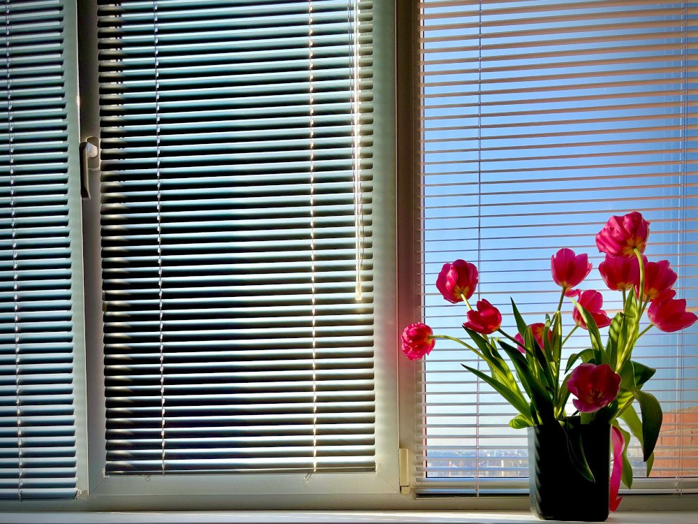 A bouquet of vibrant pink tulips in a dark vase sitting on a white windowsill in front of partially open venetian blinds and a blue sky.