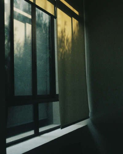 A moody, low-light shot of a window with a roller blind partially down, showing warm golden hour light and tree shadows through the glass.